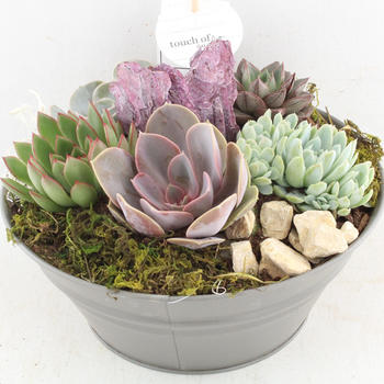 Déco dans pot Zinc Ø 25 H.25cm