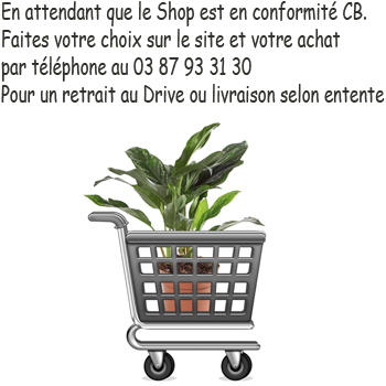 Drive ou livraison selon entente