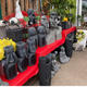 Palmiers Oliviers & Arbustes : le plus beau choix d'objets rares et curieux