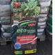 Palmiers Oliviers & Arbustes : Terreau Eco Potager avec engrais
