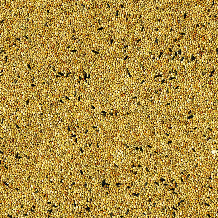 millet des oiseaux en 5 lettres